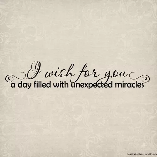 "A day filled with unexpected miracles"