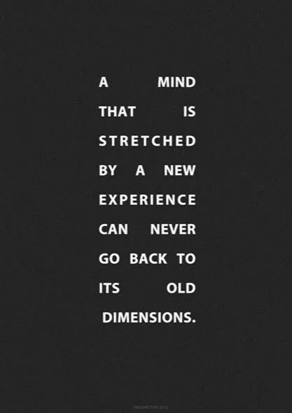"A mind stretched by a new experience"