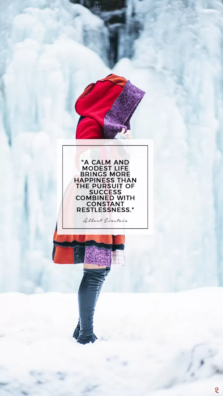 Quotes about Pursuit of Happiness