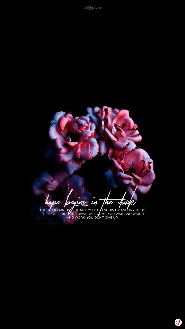 Anne Lamott "Hope begins in the dark" Quotes about hope