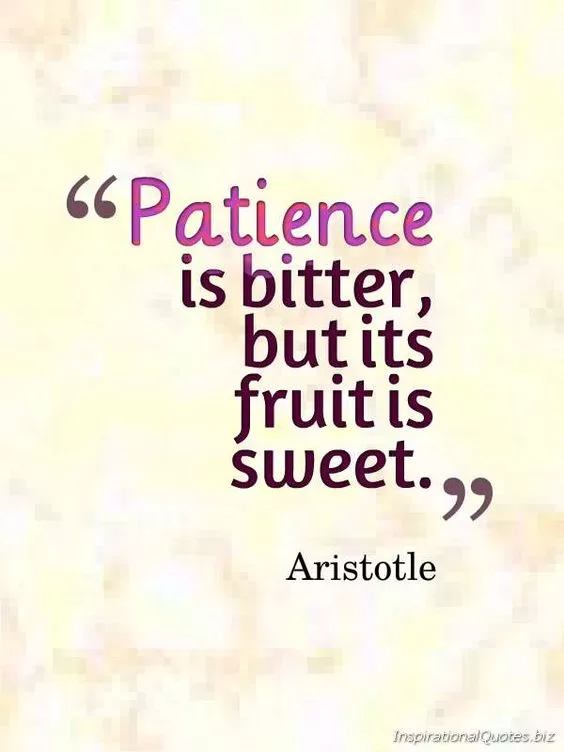 Aristotle "Patience"