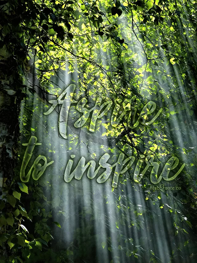 Inspirational Quotes