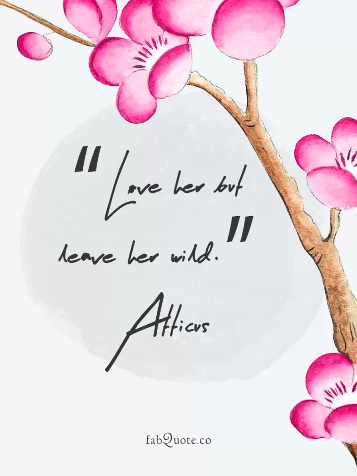 Love and Adventure Quotes