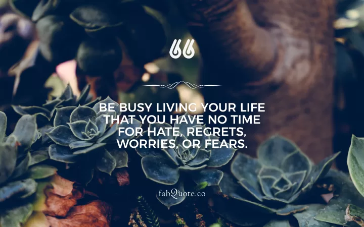 Live Life Quote