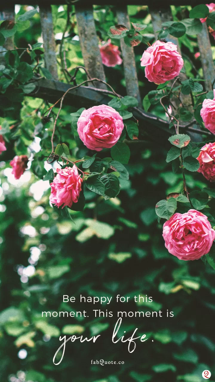 Live in the present moment quotes