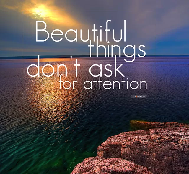 "Beautiful things don't ask for attention"