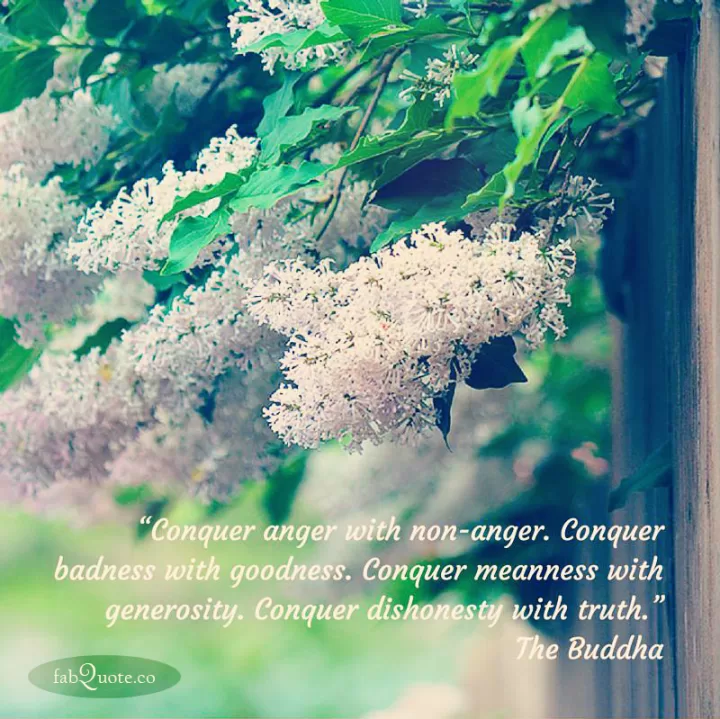 Buddha "Conquer anger with non-anger"