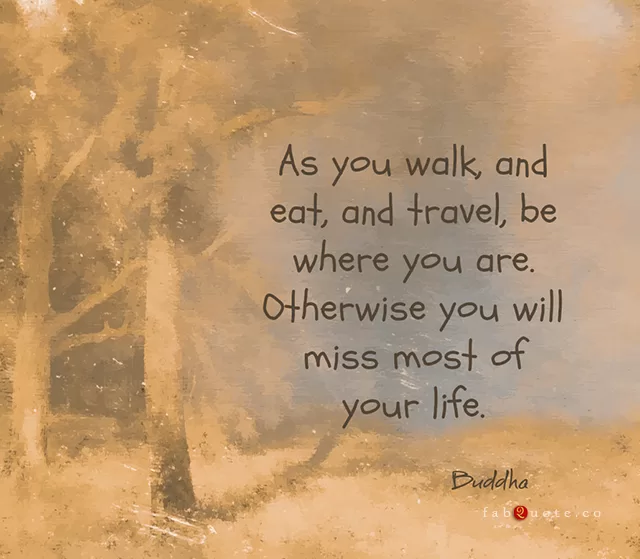 Buddha "Don't miss your life"