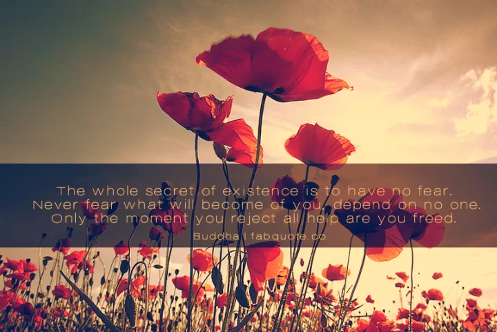 Buddha - The secret of existence