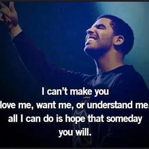 "Can't make you love me"