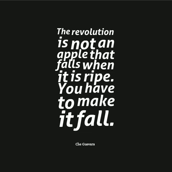 Che Guevara "Revolution