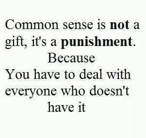 Common Sense