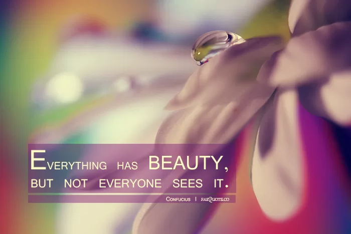 Confucius - Everything has Beauty