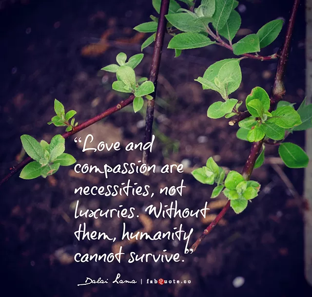Dalai Lama - Love and Compassion