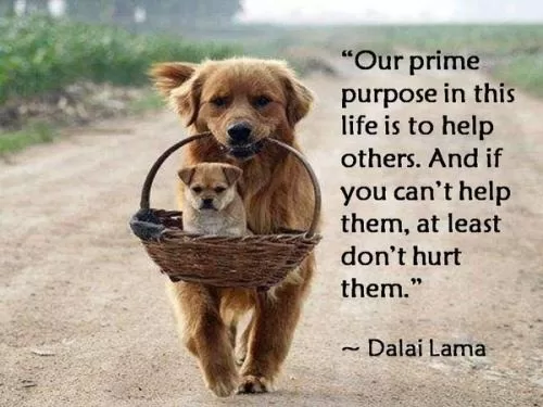 Dalai Lama - 'Our pime purpose in life"