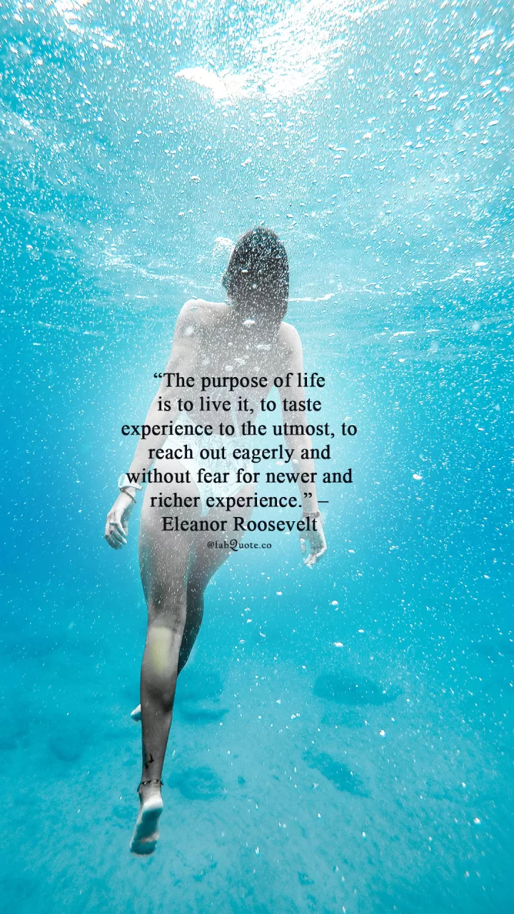 Eleanor Roosevelt "The purpose of life"