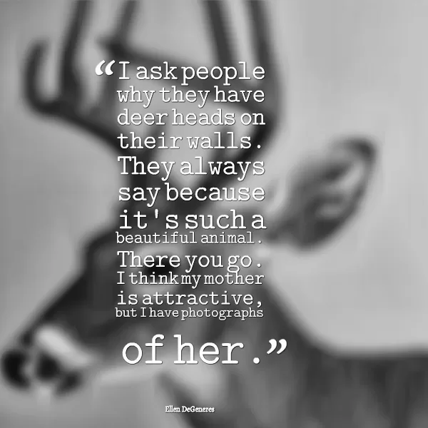 Ellen DeGeneres "Deer Heads" Funny