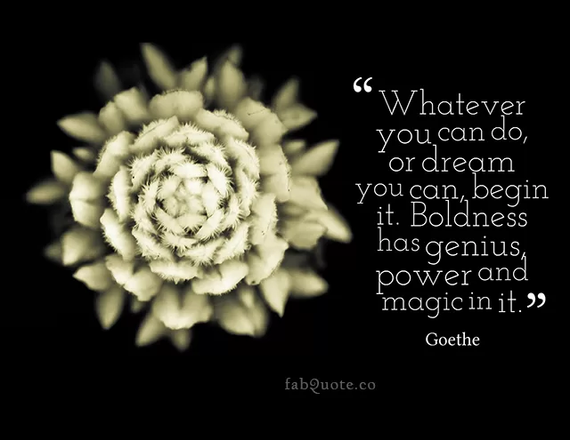 Goethe - "Boldness"