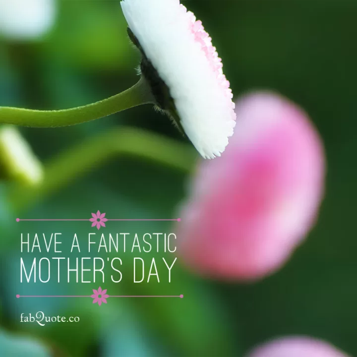 Have a fantastic Mother's Day
