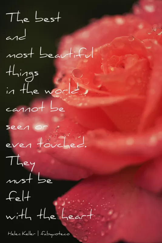 Helen Keller - Beautiful things must be felt with the heart