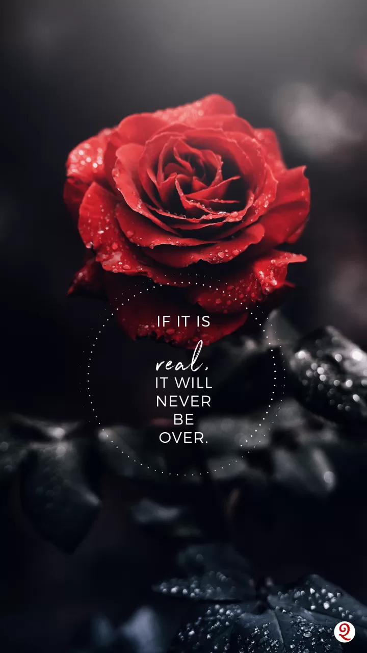 Quotes about What's Meant To Be