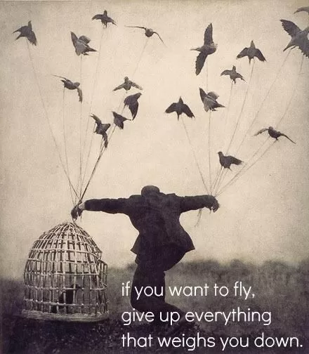 "If you want to fly"