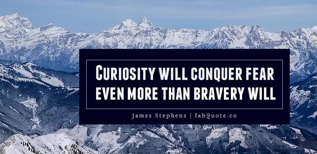 James Stephens - Curiosity