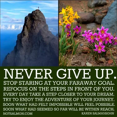 Karen Salmansohn "Never Give up"