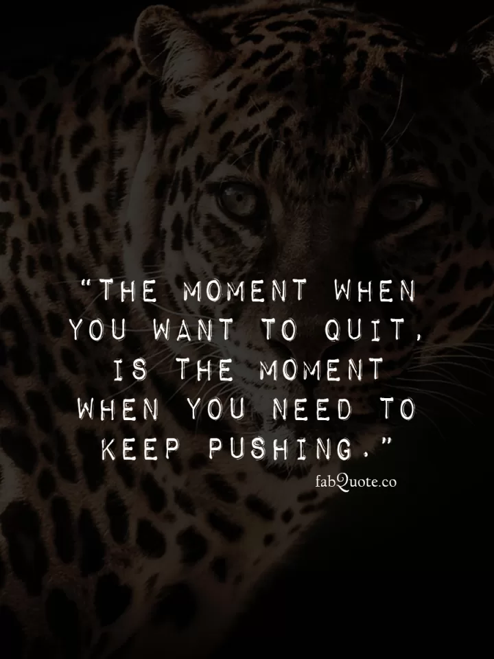 Motivational Quotes