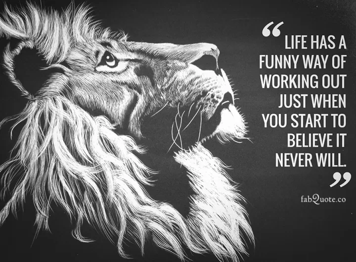 "Life has a funny way of working out"