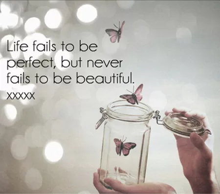 The Beauty of Life Quotes