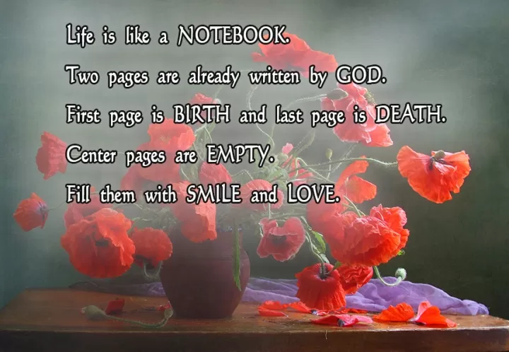 "Life is like a notebook"