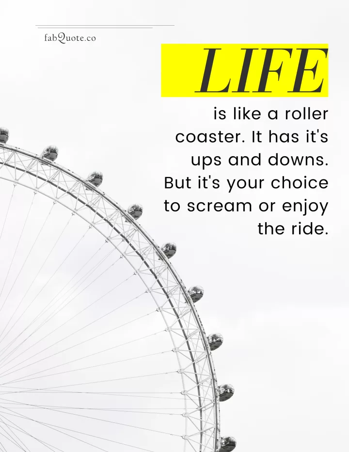 "Life like a roller coaster"