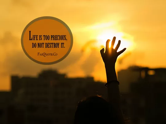 "Life is too precious"