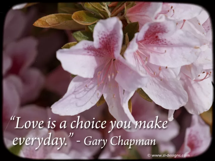 Gary Chapman - "Love is a choice"