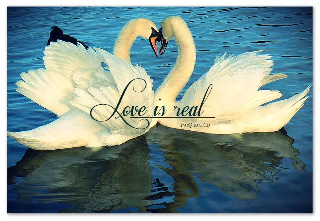 "Love is Real"