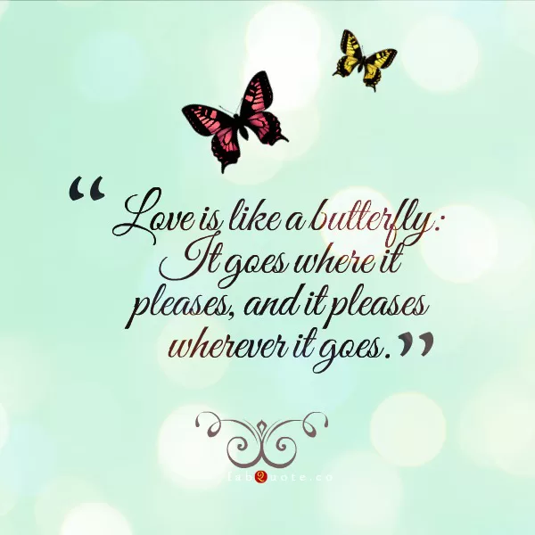 Love is like a butterfly