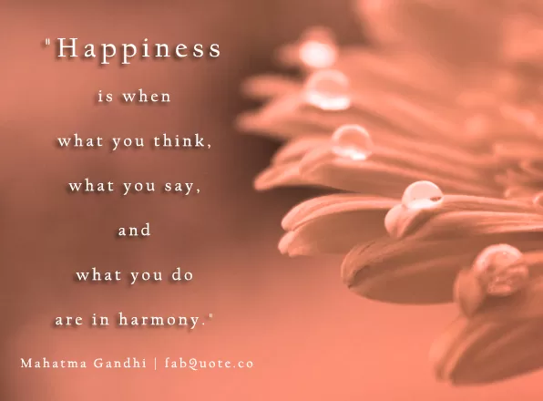 Mahatma Gandhi - Happiness