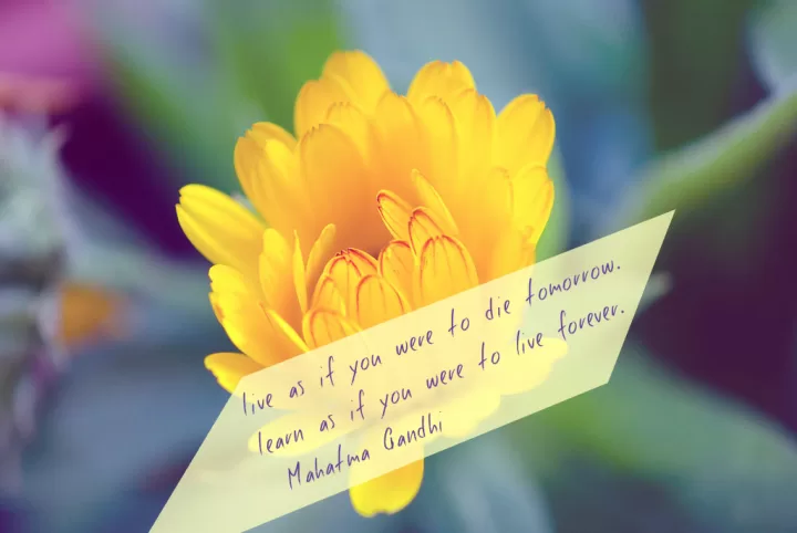 Mahatma Ghandi - Live