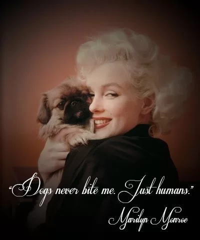 Marilyn Monroe - Dogs never bite me
