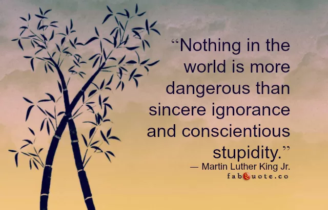Martin Luther King Jr. "Ignorance and Stupidity"