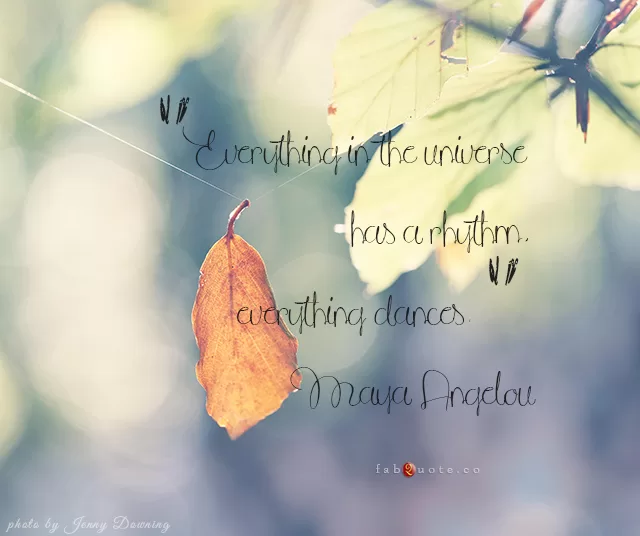 Maya Angelou "Everything in the universe has a rhythm"