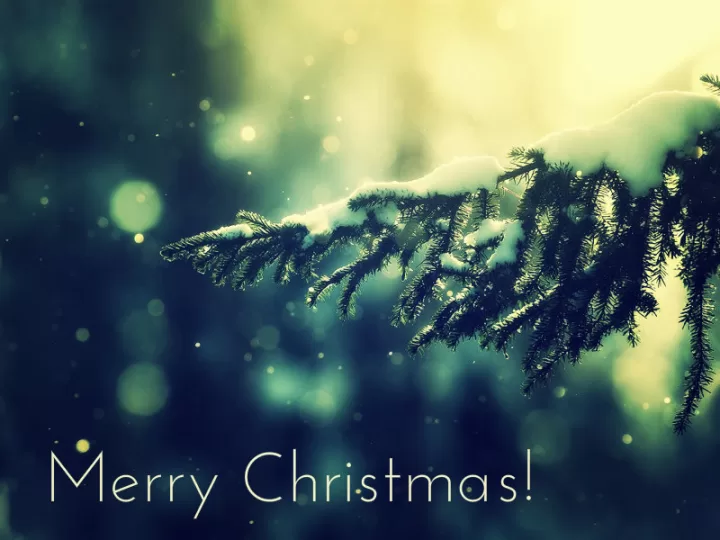 Merry Christmas