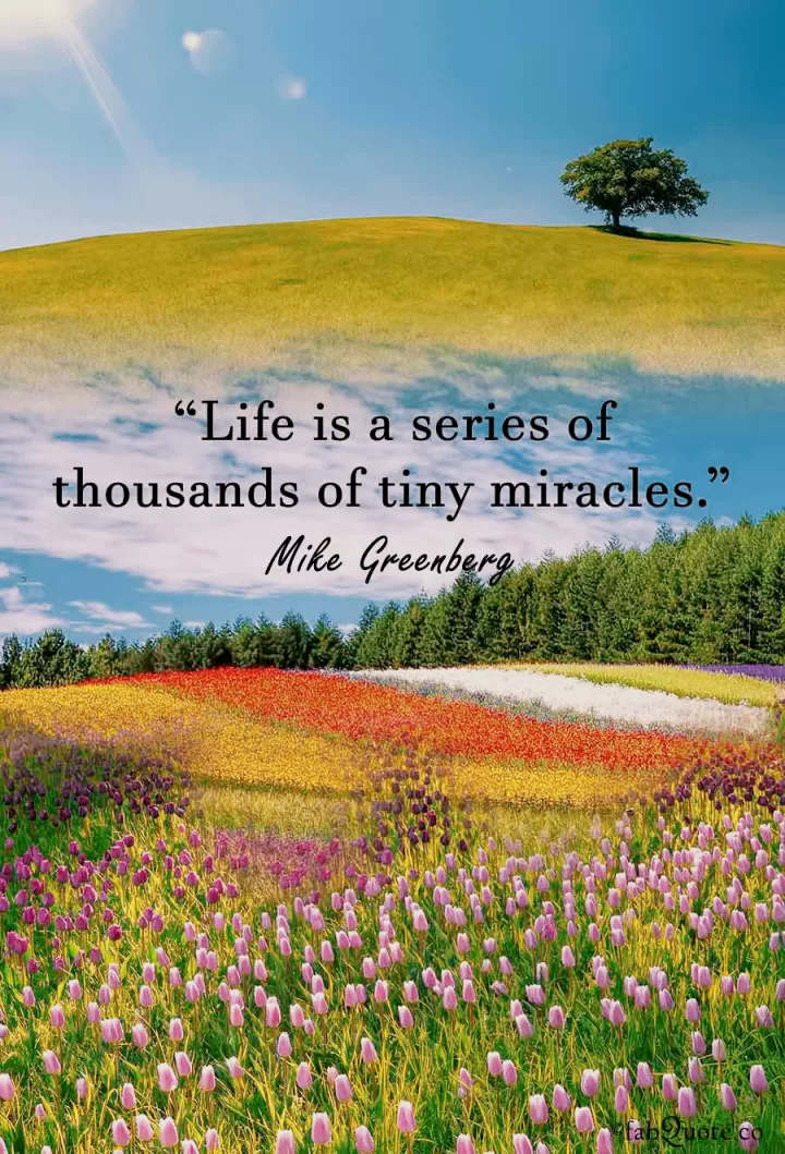 Quotes about the Beauty of Life