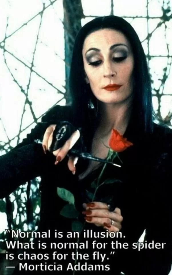 Morticia Addams  "Normal is an illusion"