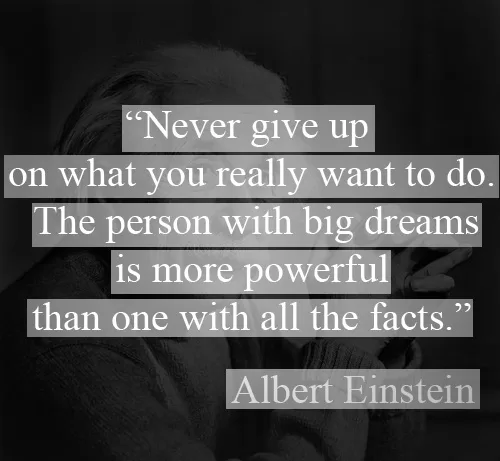 Albert Einstein - "Never give up"