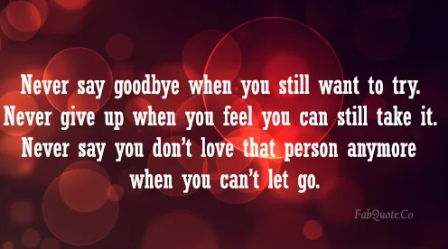 Never say goodbye when you still want to try