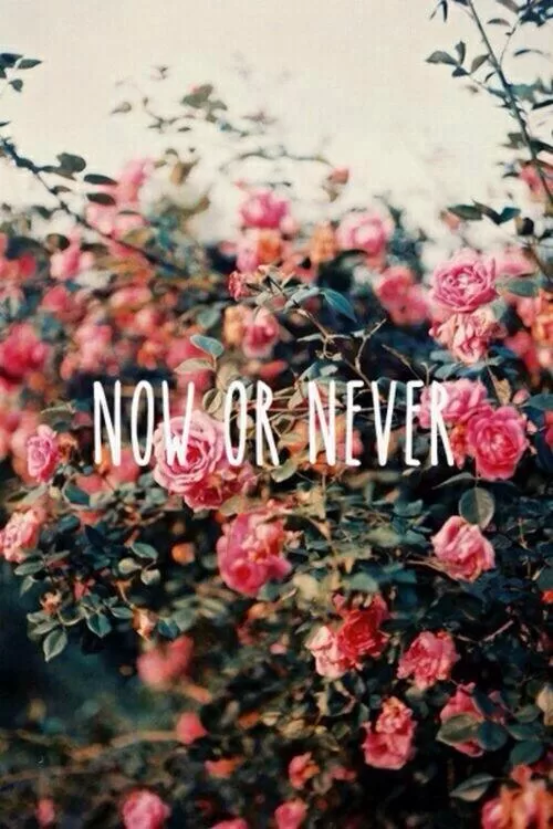 "Now or Never"