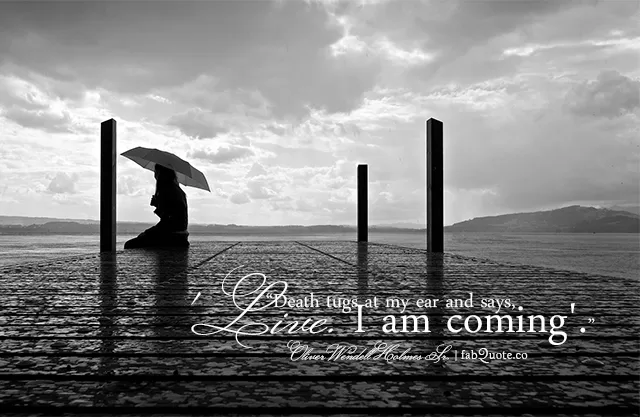 Oliver Wendell Holmes Sr. "Live your life"