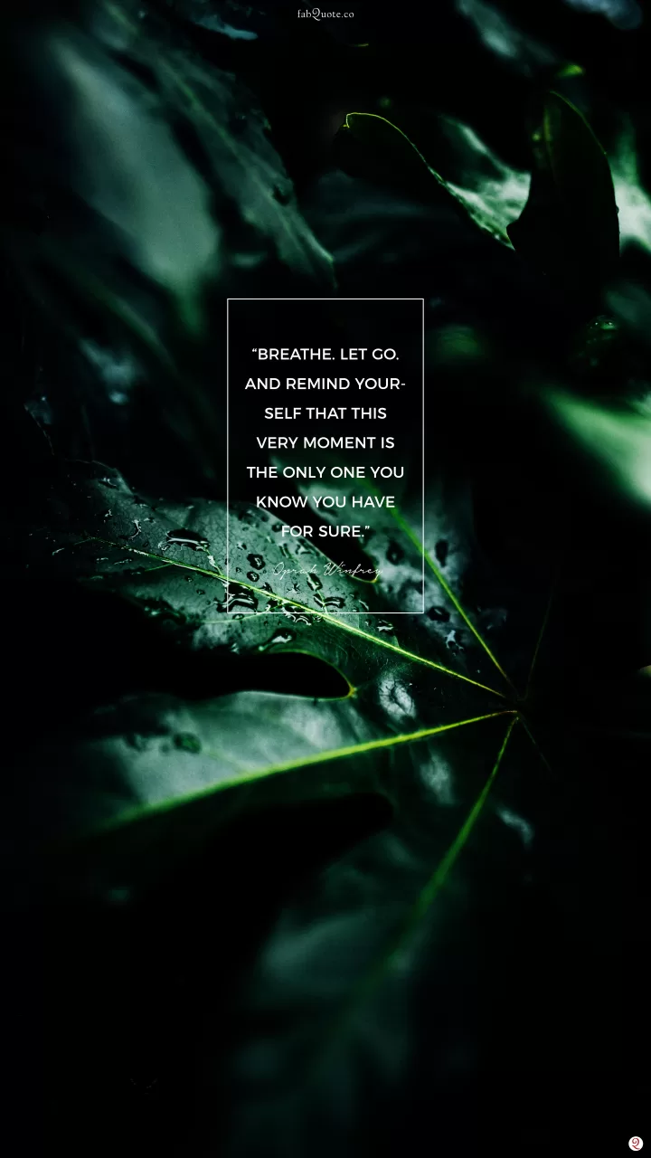 “Breathe. Let go. And remind yourself that this very moment is the only one you know you have for sure.” – Oprah Winfrey